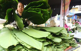 Chợ lá dong lâu đời nhất Hà Nội: Ngày bán hàng vạn lá, thu về hàng chục triệu