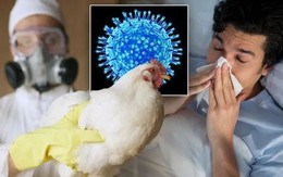 Làm sao để phân biệt cúm A/H5N1, cúm mùa và COVID-19?