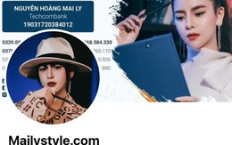 Tài khoản MailyStyle tiêu thụ mỹ phẩm, TPBVSK nhập lậu với số lượng 'khủng' có quy mô như thế nào?