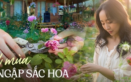 Mất 3 năm hoàn thiện được khu vườn nhỏ 18m2 trở thành 'biển hoa' nhưng thành quả khiến ai cũng phải trầm trồ ngợi khen