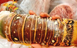 Sự thật đuôi tôm hùm Úc giá 350.000 đồng/kg
