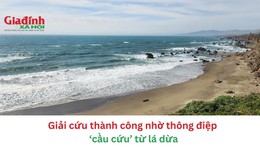 Giải cứu thành công nhờ thông điệp ‘cầu cứu’ từ lá dừa