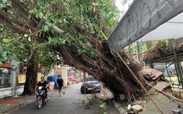Cảnh 'ngổn ngang' trên đường phố Hà Nội sau trận mưa lớn