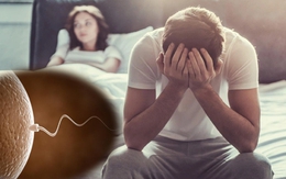 Nam thanh niên 27 tuổi có tỉ lệ tinh trùng bất thường 97% chỉ vì vợ chồng 'nín thở' chờ trứng rụng để thụ thai