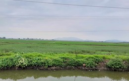 Hàng triệu người Việt được hưởng lợi trong việc nhận chuyển, nhượng đất lúa theo Luật Đất đai mới nhất