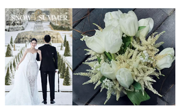Hoa cưới của Midu là loại hoa gì mà thuộc top đắt nhất thế giới?