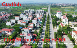 1 huyện khu vực ven Hà Nội dự kiến sẽ tiếp tục đưa ra đấu giá 500 thửa đất trong năm 2024