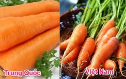 18 loại rau củ với cách phân biệt nguồn gốc từ Trung Quốc hay Việt Nam