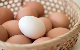 Hạn chế ăn trứng khi đang có bất ổn đường ruột