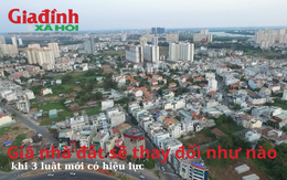 Giá nhà đất sẽ thay đổi như nào khi 3 luật Đất đai, Nhà ở và Kinh doanh bất động sản mới có hiệu lực?