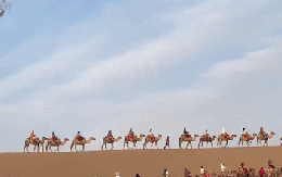 Lắp đèn đỏ giữa sa mạc tránh 'kẹt' lạc đà, du khách vẫn điêu đứng vì tắc đường: 5 phút nhích được 2 bước!
