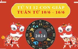 Tử vi tuần mới từ 10/6 – 16/6/2024 chi tiết của tuổi Tý, Thìn, Tỵ, Ngọ, Mùi, Thân, Dậu, Tuất