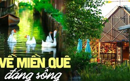 Gia đình 4 người về quê xây nhà rộng 12.000m2: Không điều hòa, con người và thiên nhiên cùng tồn tại