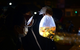 Chợ 'có một không hai' ở TP Hồ Chí Minh: Khách soi đèn mua cá lúc 4 giờ sáng
