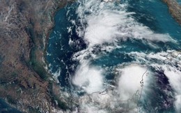 Có bao nhiêu cơn bão đổ bộ đất liền Việt Nam năm 2024?