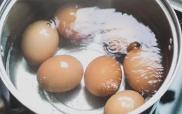 Luộc trứng dùng nước sôi hay nước lạnh đều sai bét, nhớ 5 điểm này, luộc xong chỉ chạm nhẹ là vỏ tự bong