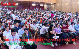 Đấu giá xuyên đêm, thửa đất trúng đấu giá cao nhất tại Hoài Đức có giá là 133,3 triệu đồng/m2