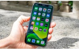 Giá iPhone 11, iPhone 11 Pro, iPhone 11 Pro Max mới nhất đang rẻ nhất thị trường, chưa tới 6 triệu vẫn xịn, đẹp ngang iPhone 15