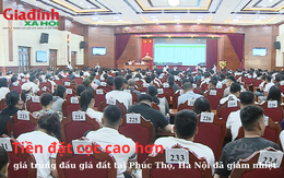 Tiền đặt cọc cao hơn, giá trúng đấu giá đất tại Phúc Thọ, Hà Nội đã giảm nhiệt