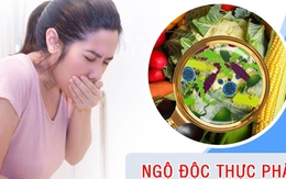 Các bài thuốc sơ cứu người bị ngộ độc thực phẩm đơn giản tại nhà