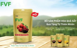 Mận sấy dẻo vị muối gừng: Kỳ công mang món quà từ thiên nhiên về lòng phố thị