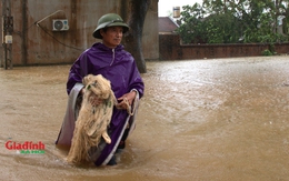 Hà Nội: Lũ trên sông Bùi cuồn cuộn tràn về, hàng nghìn hộ dân chìm trong biển nước