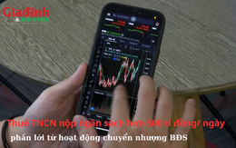 Thuế thu nhập cá nhân nộp ngân sách hơn 500 tỉ đồng/ngày, nguồn thu lớn này bắt nguồn từ đâu? 