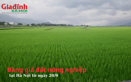 Hà Nội áp dụng bảng giá đất nông nghiệp mới từ ngày 20/9