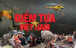 'Điểm tựa Việt Nam' - Câu chuyện chân thực từ tâm bão, tâm lũ