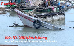 Hơn 83.400 khách hàng được hỗ trợ vay vốn bị thiệt hại do bão số 3