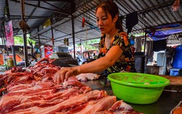 Giá thịt lợn lập đỉnh cao mới, chen chân mua thịt trâu chọi Đồ Sơn