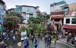 Giông lốc mạnh ở Hà Nội chỉ kéo dài 30 phút nhưng hậu quả nghiêm trọng