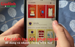 Các cách tra cứu phạt nguội dễ dàng và nhanh chóng hiện nay 