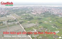 Diễn biến giá đất nền tại Đan Phượng, Hà Nội những ngày đầu năm mới 2025