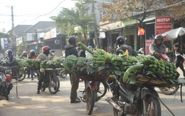 Phiên chợ đặc biệt ở vùng biên bán duy nhất một loại quả thơm ngọt