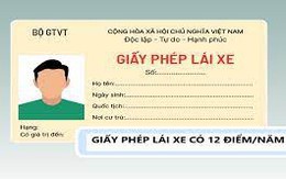 Người dân cần chú ý những lỗi sau để không bị trừ điểm trên giấy phép lái xe