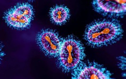 Virus HMPV gây viêm phổi ở người có lây qua quan hệ tình dục?