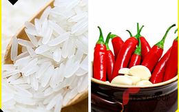 Mẹo hay để bảo quản gạo lâu dài không lo mối mọt