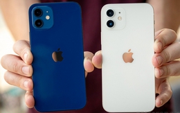 Giá iPhone 12, iPhone 11 giảm cực sâu, chưa tới 10 triệu đồng liệu có nên mua khi iPhone 17 mới ra?