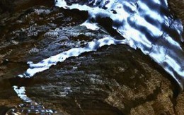 Một thứ 40.000 năm tuổi vừa bị đánh thức dậy