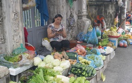 Giá rau xanh ở Hà Nội 'hạ nhiệt' sau chuỗi ngày tăng gấp 2- 3 lần vì mưa bão
