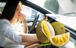 Cách khử mùi sầu riêng trên xe hơi nhanh nhất