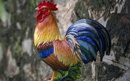 Ý nghĩa và tác dụng bài trí tượng gà trống trong phong thủy để hóa giải sát khí