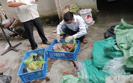 Hé lộ thủ đoạn mua lợn nhiễm dịch tả Châu Phi về mổ bán kiếm lời