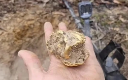 Đi đào gốc cây, người đàn ông bỗng nhặt được kho báu hơn 2 tỷ đồng