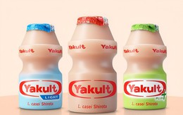 Nên uống Yakult khi nào? Mua sữa chua chính hãng tại AVAKids