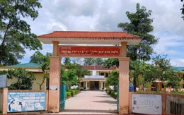 40 học sinh nhập viện sau bữa ăn bán trú: Tiếp tục đình chỉ công tác nữ hiệu phó