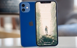 Giá iPhone 12, iPhone 11 rẻ kỷ lục, chưa tới 10 triệu đồng, được đánh giá là cặp đôi iPhone cũ fullbox đáng mua nhất hiện nay