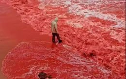 Sau trận mưa kỳ lạ, bãi biển bất ngờ nhuộm đỏ như máu, cơ quan lữ hành nói: Liên quan tới tên gọi nơi này