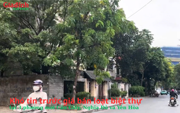 Hà Nội: Khó tin trước giá bán biệt thự tại 3 phường mới Cầu Giấy, Nghĩa Đô và Yên Hòa